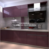 Produce Modern Shaker Style Kitchen Cabinets with High Waterproof Kitchen Pantry