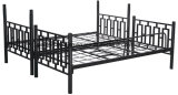 Modern High Quality Metal School Bunk Bed