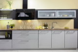 Baked Paint Kitchen Cabinet (M-L60)