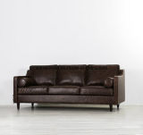 Nordic Contracted and Contemporary, The Small Family Club Leisure Sofa of The Sitting Room Sofa Leather Sofa Office (M-X3385)