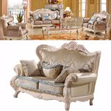 Wooden Sofa Sets for Home Furniture (992R)