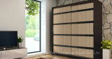 Professional Manufacturer Sliding Door Bedroom Wardrobe (HF-EY0211)