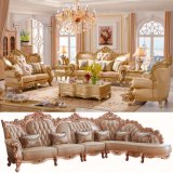 Living Room Sofa Furniture for Home Furniture (511C)