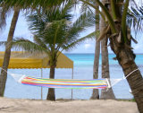 Beach Hammock, Outdoor Hammock, Garden Hammock, Hammock