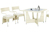 Modern PE Rattan Furniture Dining Set