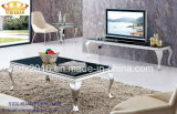 Coffee Table / Stainless Steel Coffee Table / Marble Top Coffee Table / Modern Coffee Table /Tea Table Sj813