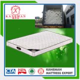 Cheap Sponge Mattress for School or Hotel