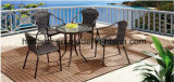 Outdoor /Rattan / Garden / Patio / Hotel Furniture Rattan Chair& Table Set (HS 1027C& HS6060ET)