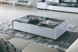 Wooden Leisure MDF Coffee Table Furniture (CJ-149)