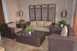 Leisure Rattan Sofa Outdoor Furniture-61