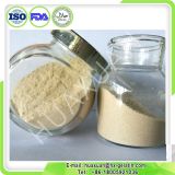 Food Grade Organic Pectin Powder