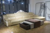 European Style Living Room Genuine Leather Sofa (SBL-9194)