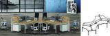 Modern Style Premium Staff Partition Workstations Office Desk (PS-15-MF02-12)