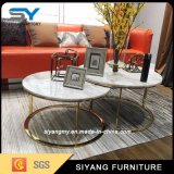 Home Furniture Stainless Steel Coffee Table