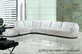 Hot Selling Leisure Leather Sofa (SBL-9049)