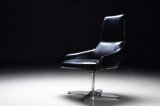 Modern Stainless Steel PU Leisure Chair (EC-046)