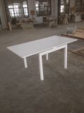 Hot Sailing Ikea Quaity Folding Table