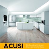 Wholesale New Design Modern Simple Style Lacquer Kitchen Cabinets (ACS2-L98)