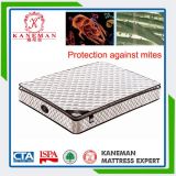 Healthy Pillow Top Pocket Spring Mattress for Home Furniture