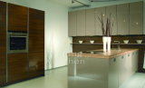 2017 Modern Style Lacquered Kitchen Cabinets (#M2012-27)