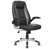 Durable Rotary Office Executive Manager Chair with Armrest (FS-2029)