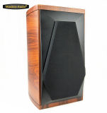 5.5 Inch HiFi Bookcase Speaker (A-5)