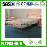 Kids Bedroom Furniture Student Iron Single Bed (BD-41)