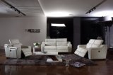 Hot Selling Leisure Leather Sofa (CK-806)