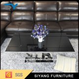 Modern Furniture Steel Table Tea Sets Glass Coffee Table