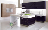 Champagne Lacquer Modern Kitchen Cabinets (zs-216)