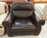 America Sofa, Leather Sofa, Home Furniture, Combination Sofa (A57)