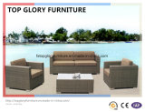 Outdoor Rattan Furniture Patio Furniture Garden Sofa (TG-030)