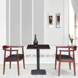 Upholstered Wooden Dining Table and Chair with Leather (SP-CT627)