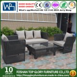 Modern Leisure Outdoor Furniture Rattan Garden Wicker Sofa (TG-7002)