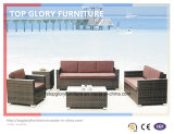 Garden Furniture Outdoor PE Rattan Furniture Garden Sofa (TG-036)