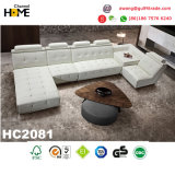 Best-Selling Modern Office Sectional Leather Sofa (HC2081)