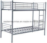 Student Worker Army Dormitory Hotel Room Metal Bunk Bed