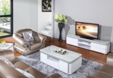 2015 Modern Living Room Furniture TV Bench TV Stand (DS-198)