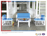 Rattan Wicker Sofa Dining Leisure Outdoor Furniture (TG-064)