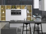 White Lacquer Glossy Kitchen Cabinet (zz-009)