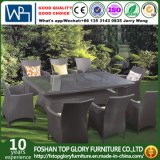 Indoor & Outdoor Wicker Dining Set (TG-219)