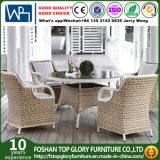 Dining Table Outdoor Furniture PE Rattan Furniture Set (TG-1653)