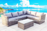 Outdoor Rattan/Wicker Sofa Garden Set