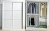 Modern Simple Style Customize Inside Sliding Wardrobe