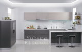 Baked Paint Kitchen Cabinet (M-L96)