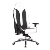 High Quality Lift Faux Leather Executive Racing Office Chair (FS-8807)