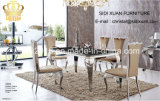 Dining Room Furniture Dining Table and Stainless Steel Chair