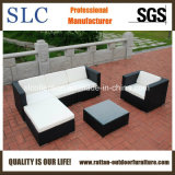 Rattan Sofa for Outdoor, Rattan Sofa Set (SC-B8851)