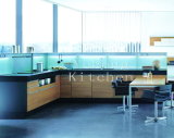 Modern Kitchen Cabinet Design (#M2012-23)