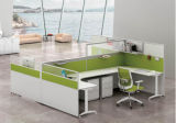 Modern Style Premium Staff Partition Workstations Office Desk (PZ-016)